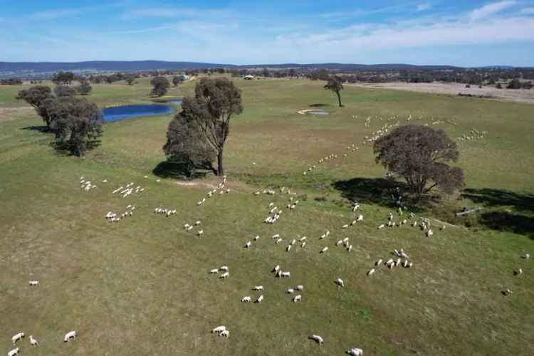 Rural property For Sale in Hilltops Council, New South Wales