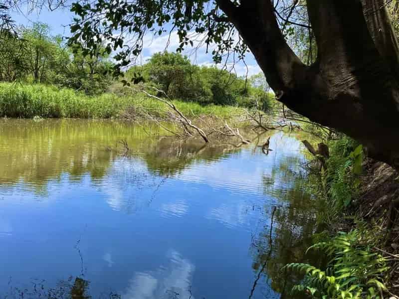 Rural property For Sale , Richmond Valley Council, New South Wales
