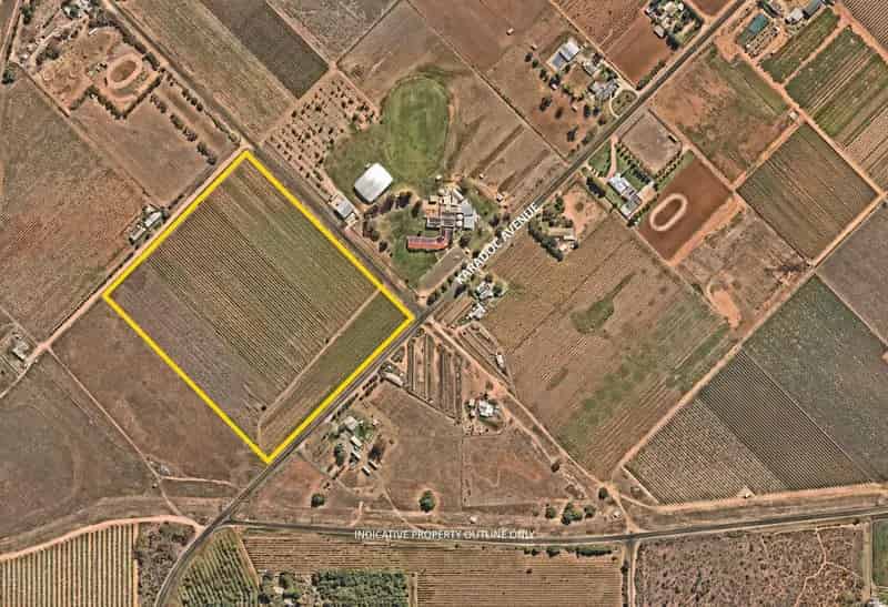 Vineyard for lease in Irymple with water entitlement and redevelopment potential