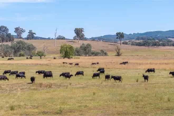 Rural property For Sale , 595, Ancona Road, Shire of Mansfield, Victoria