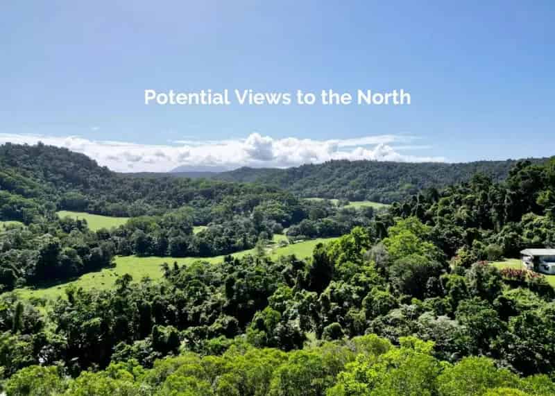 Build Your Dream Home on 2.94 Hectares in Tropical Rainforest
