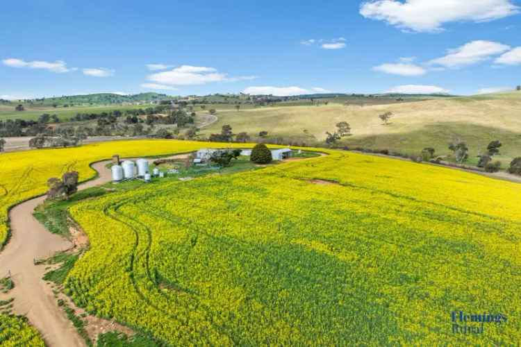 Rural For Sale in Boorowa, New South Wales