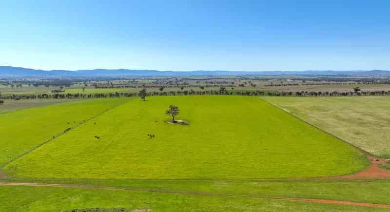 Rural property For Rent , Tamworth, New South Wales