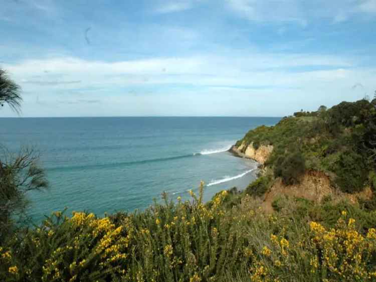 Affordable Sea View Allotment