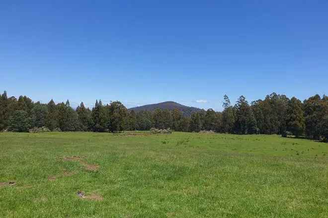 318 Acres Farm with Stunning Views and Abundant Water