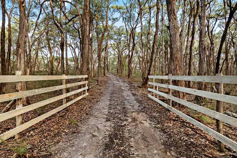 Buy Land in Snake Valley with 5 Acres Ready for Your New Home