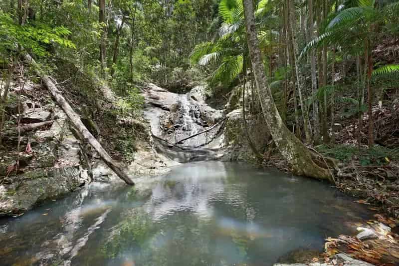 Private, Peaceful 20ha Paradise