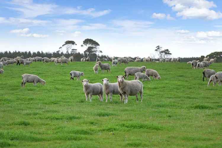 Rural For Sale in Golden Plains Shire, Victoria