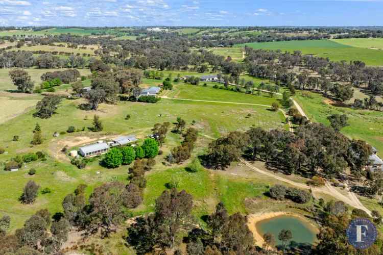 Acreage For Rent in Young, New South Wales