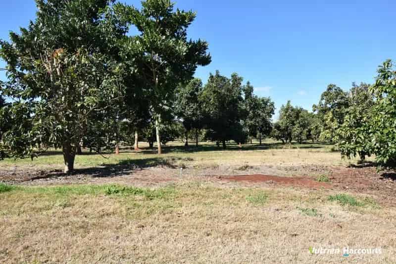 Buy Rural Property Childers with Avocado Trees and Water Allocation