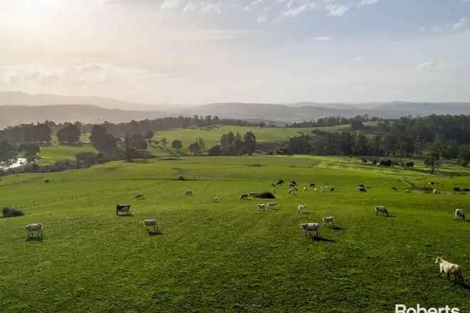 Acreage For Sale in Railton, Tasmania