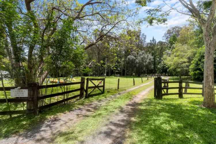 Over 3 Acres, Barn Style Shed, in-ground pool AND a family home!