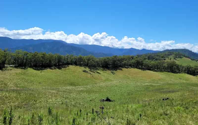 Land For Rent , Araluen, New South Wales
