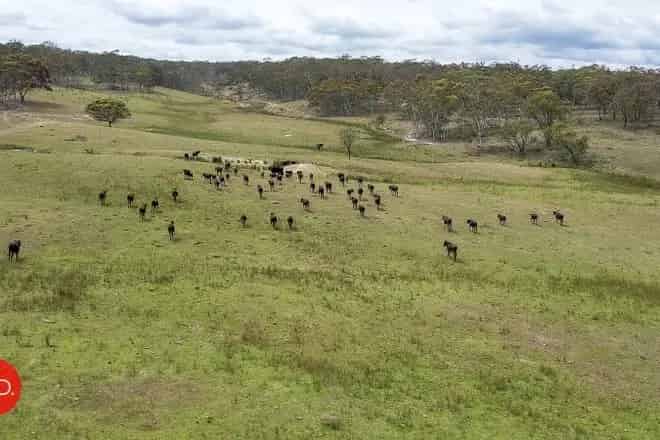 Rural property For Sale , Bungendore, New South Wales