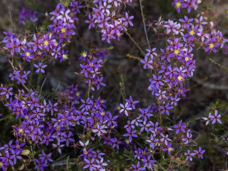 Land For Sale in Jurien Bay, Western Australia