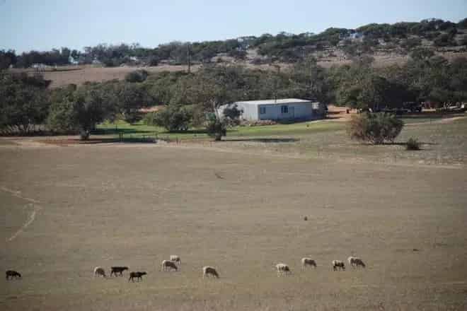 Land For Sale , Shire of Irwin, Western Australia
