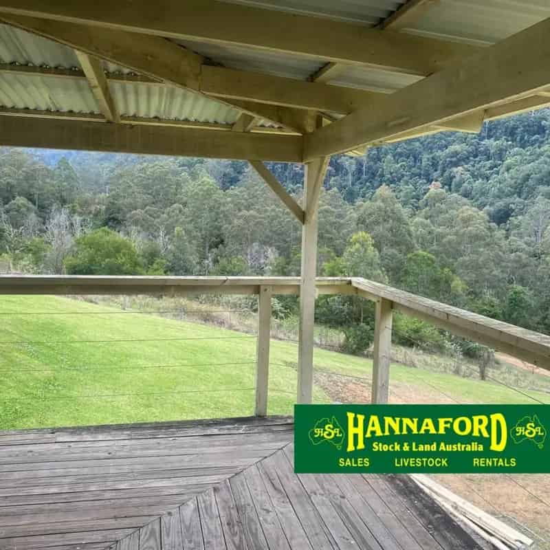 Buy rural land in unspoiled rainforest with spring fed creek access