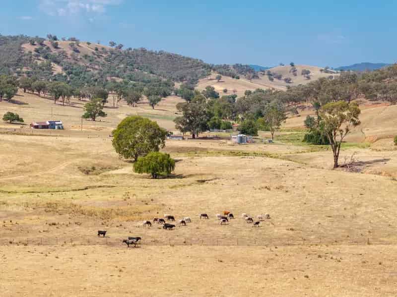 "Scarborough Downs" - Exceptional Value With Upside Potential