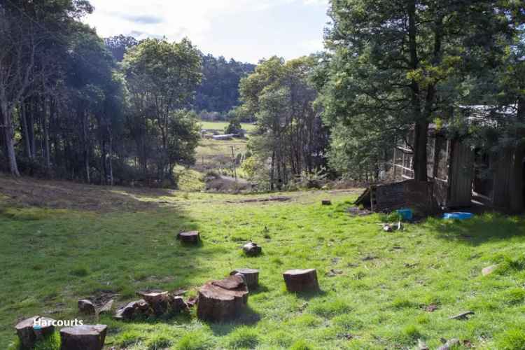 Peaceful Country Lane