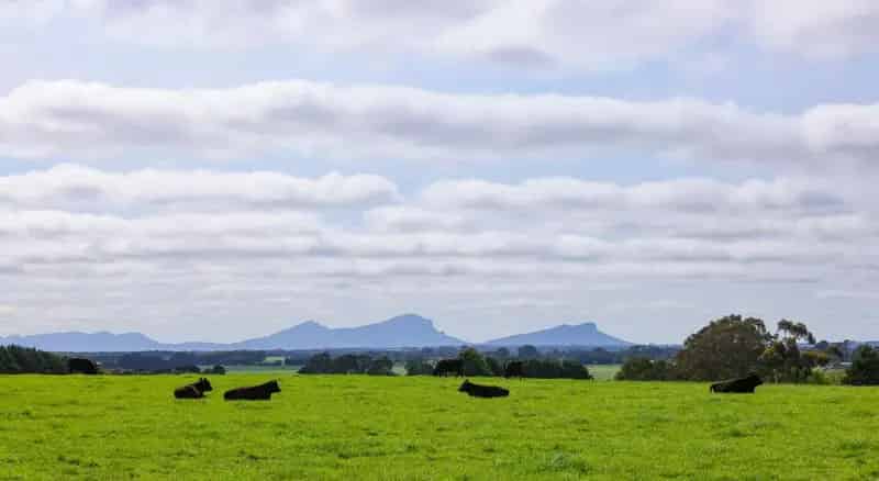 Rural property For Sale , Shire of Southern Grampians, Victoria