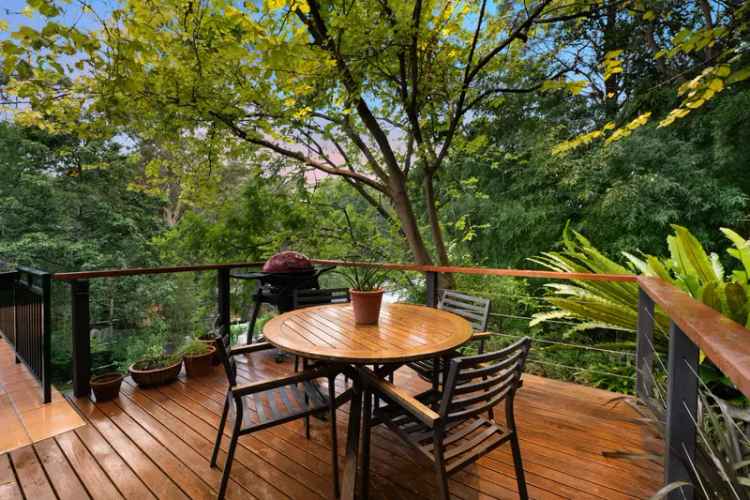 Hidden Treetop Family Retreat Near Turramurra