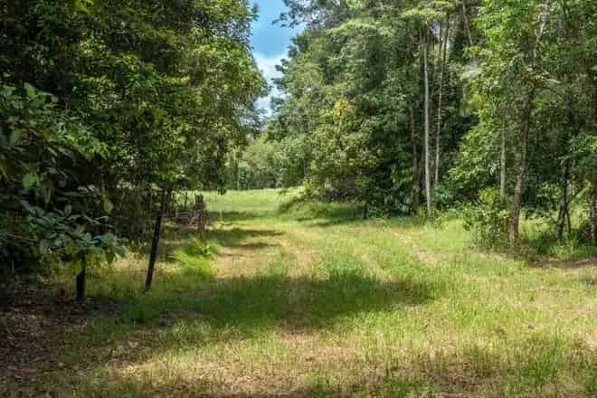 Land For Sale , Cassowary Coast Regional, Queensland