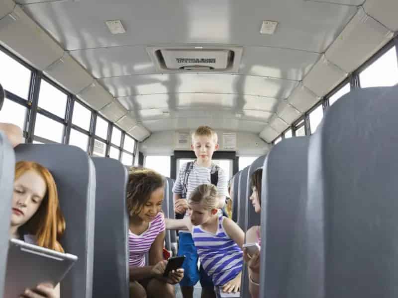 Buy Established School Bus Business with Government Contracts in Campbell Town