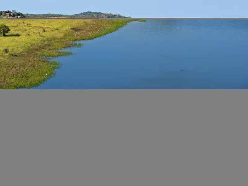 Buy AwardWinning Kakadu Tour Business in Australia's Nature Paradise