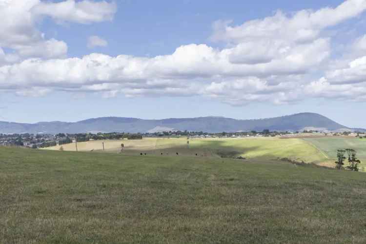  For Sale in Scottsdale, Tasmania