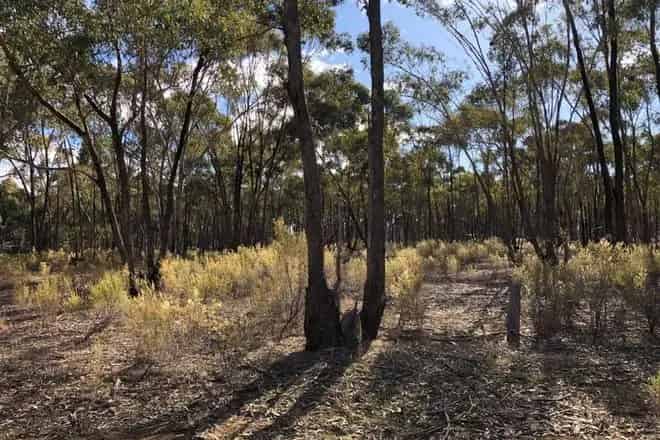 Land For Sale , 59, Palmer Road, Shire of Central Goldfields, Victoria