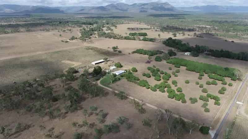 "LindaLotte" 1,052 Acres* - (Freehold) Prime Farming & Cattle Grazing Opportunity Only 30min* to Townsville