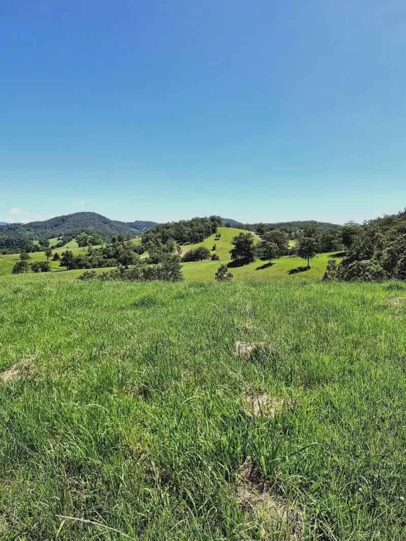 Rural property For Sale , Mid-Coast Council, New South Wales