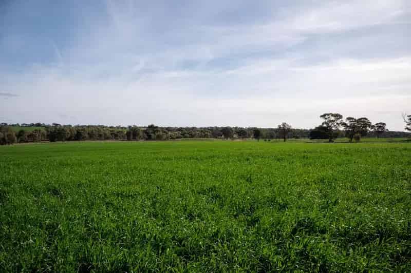 Rural property For Sale , Rural City of Horsham, Victoria