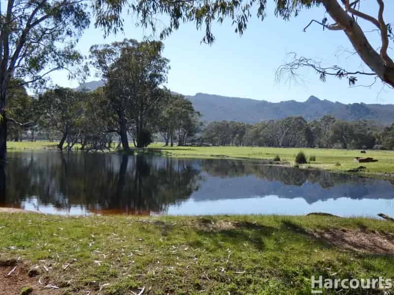 Buy rural property with income potential in Glenisla with water features