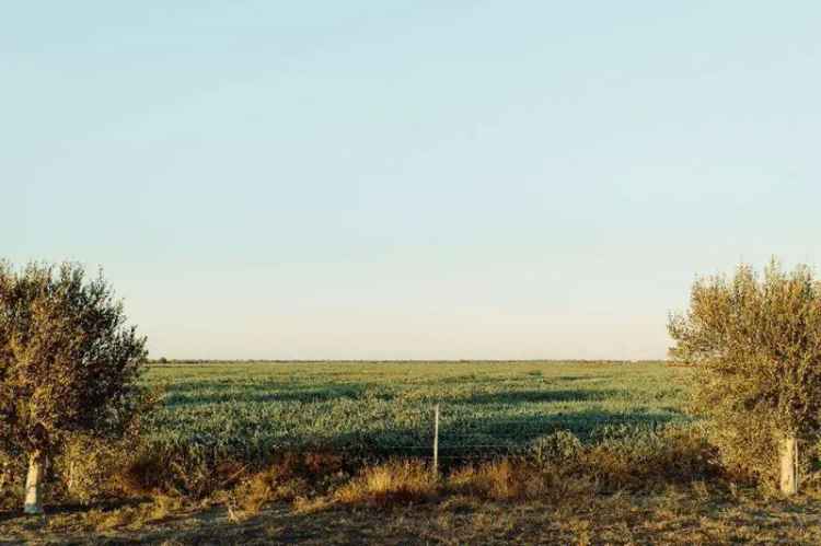 Buy rural property in Moree with extensive water supply and fencing features