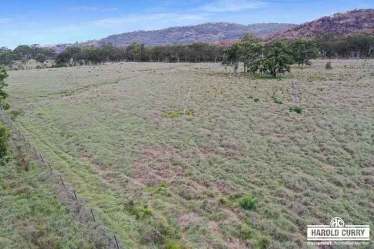 Buy rural property with expansive frontage and cattle grazing near Tenterfield