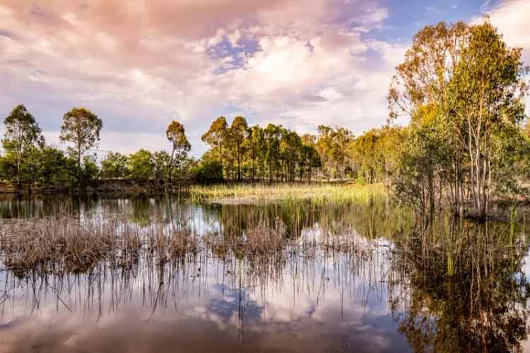 Kingsley Grove Estate Winery 77.92 Hectares Idyllic Lifestyle Kingaroy