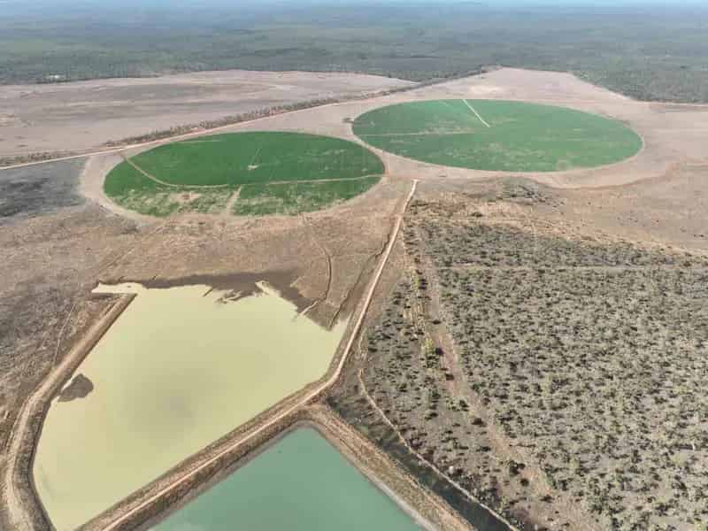 For Sale Irrigated and Dryland Cropping and Cattle Operation in Queensland