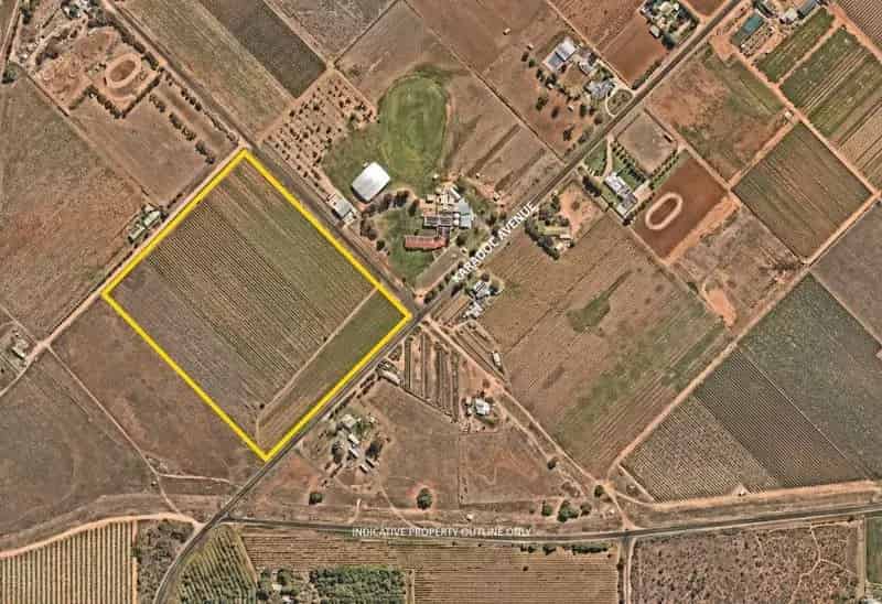 Rent Rural Property Vineyard 19 Acres Irymple Featuring Water Entitlement