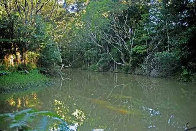 Rural property For Sale , Tablelands Regional, Queensland