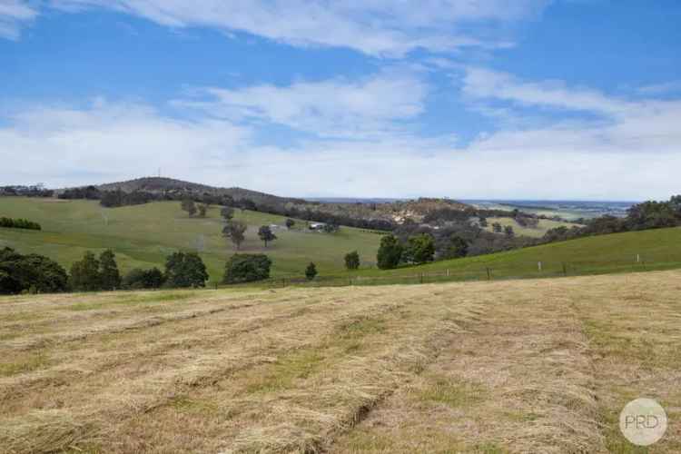 Dream Home Opportunity - 10 Acres with Stunning Views