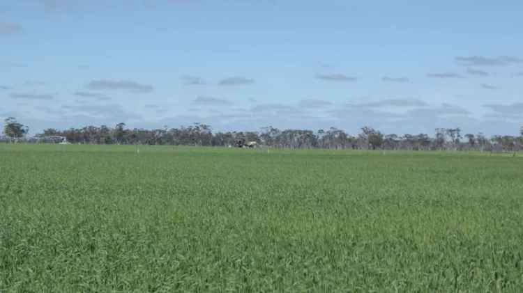 Rural For Sale in Bordertown, South Australia