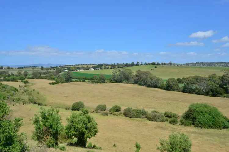 Noble Farm: Large Fertile Property Near Sorell