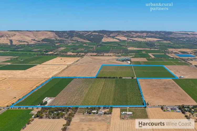 Rural For Sale in Adelaide, South Australia