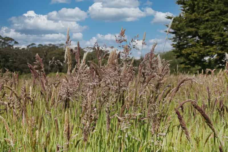 Land For Sale , Shire of Hepburn, Victoria