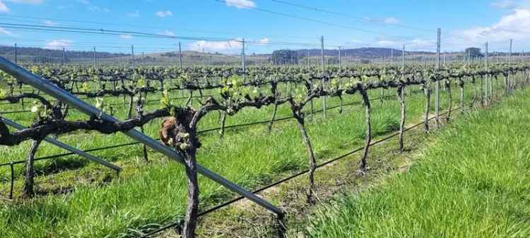  For Sale in Glamorgan-Spring Bay, Tasmania