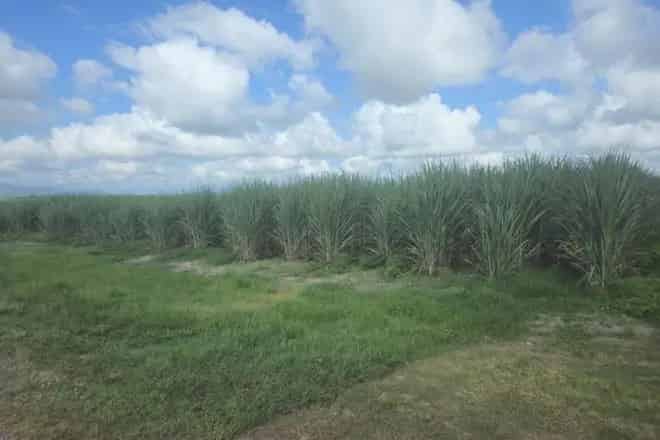 Rural property For Sale , Ingham, Queensland