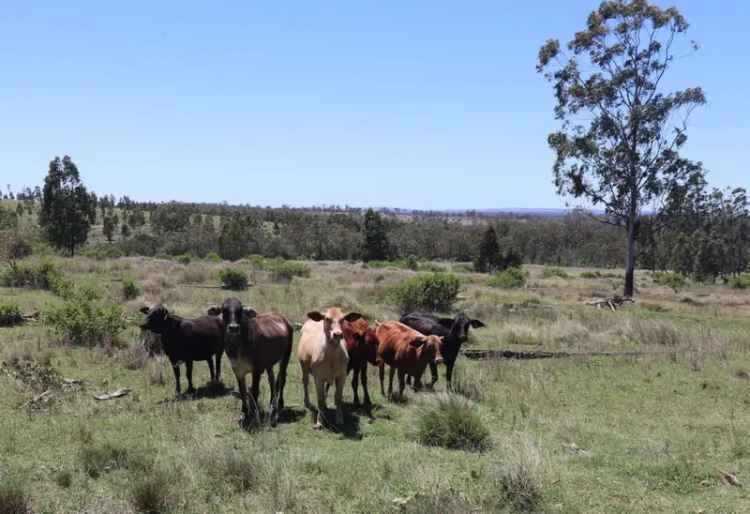 Rural For Sale in South Burnett Regional, Queensland