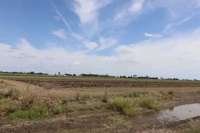 Rural property For Sale , Bundaberg, Queensland