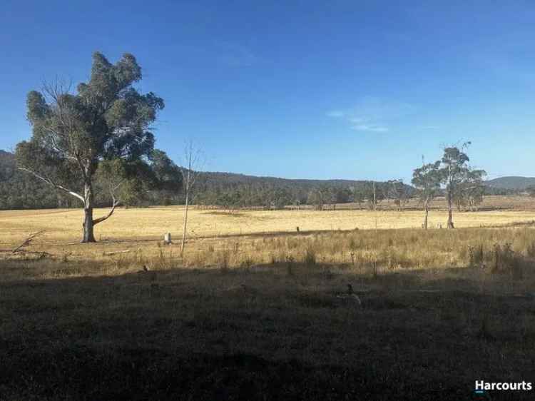 Land for Sale in Bicheno with Investment Potential and Grazing Options